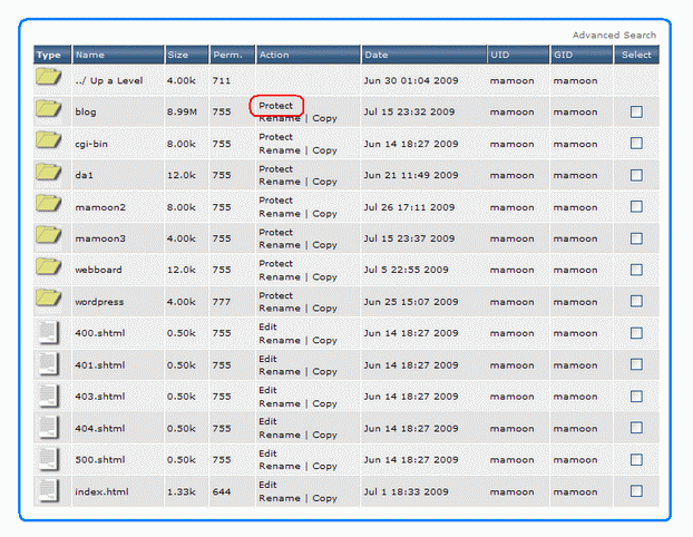 directadmin password protected