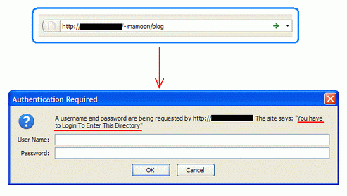 directadmin password protected