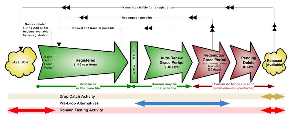domain life cycle